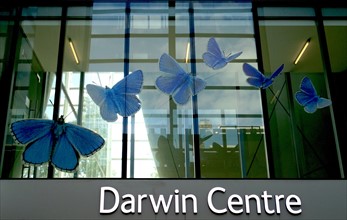 Exterior of the Darwin Centre