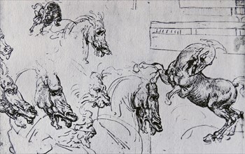 Sketches for the 'Battle of Anghiari' by Leonardo Da Vinci