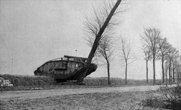 British tank destroys a tree en route to the battle of Cambrai
