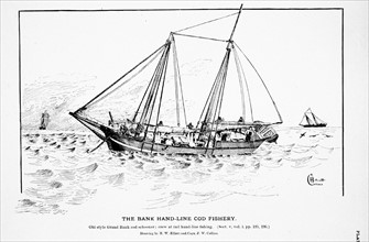 Drawing of an old style Grand Bank cod schooner by H. W. Elliott and Capt. J. W. Collins