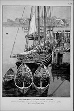 Mackerel schooner just arrived from cruise