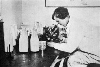 Female laboratory scientist looks for bacteria in milk