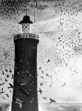 Illustration of birds circling a lighthouse at dusk 1930