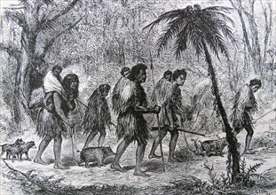 A Maori migration in the early Colonial days