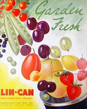 Advert for Lin-Can Canned Fruit
