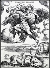 Ganymede abducted by Zeus, in the form of an eagle