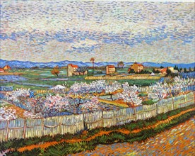Van Gogh, Peach trees in blossom near Arles