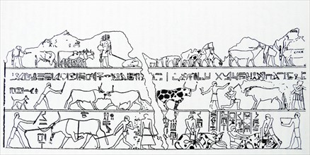 18th Dynasty