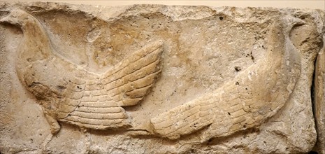 Frieze from Xanthos depicting wild fowl
