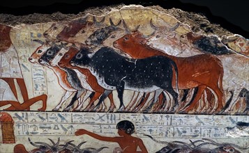 Scenes from the Tomb of Nebamun