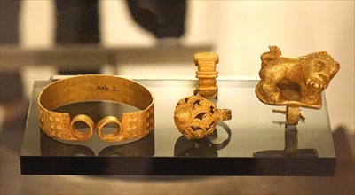 Rings used by Akan society chiefs