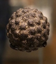 Carved stone Ball from the Later Neolithic period