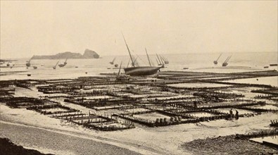 a view of the Oyster Beds at Cancale