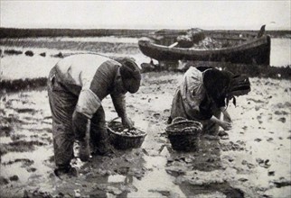 Oyster gatherers at Cancale