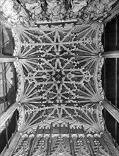 the patterned roof of the chantry of William of Wykeham