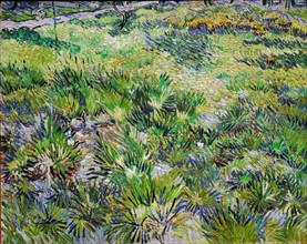 Van Gogh, Long Grass with Butterflies