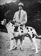 Large dalmation dog with its owner.