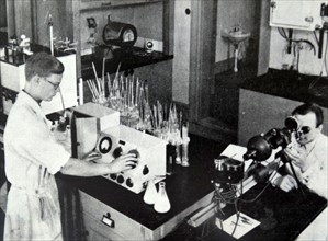Scientist experimenting with milk samples