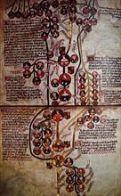 Genealogy of the Kings of England from Edward III to Henry VII