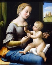 The Madonna of the Pinks by Raffaello Sanzio da Urbino