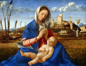 The Madonna of the Meadow' by Giovanni Bellini