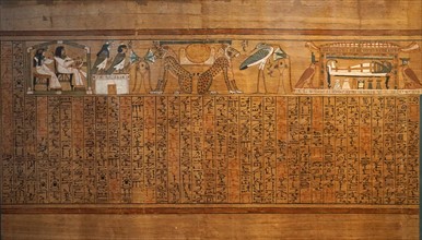 Partial of the Book of the Dead of Any