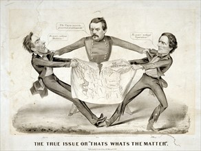 The true issue or That's what's the matter by Currier & Ives