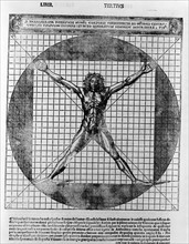 Male human body on a grid within a circle.by Vitruvius Pollio and Leonardo da Vinci