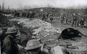Dead horse is passed by British soldiers and captured German prisoners.