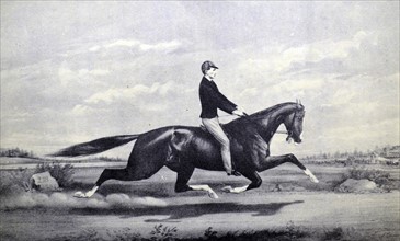 Currier & Ives Illustration. Celebrated horse Dexter 'The king of the Turf'