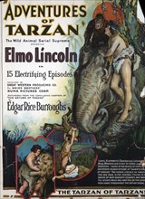 Adventures of Tarzan by Edgar Rice Burroughs, 1875-1950 , author 1921. Window card for motion picture