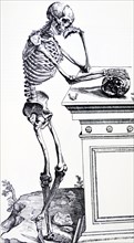 Plates from the First Book of the De Humani Corporis Fabrica by Vesalius