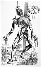 Plates from the Second Book of the De Humani Corporis Fabrica by Vesalius