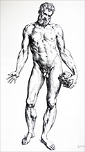 Plates from the Seventh Book of the De Humani Corporis Fabrica by Vesalius