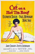 Cat on a Hot Tin Roof