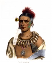 Hoo-Wan-Ne-Ka, a Winnebago chief