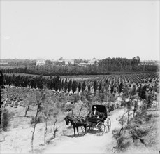 Jewish colony in Palestine