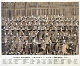 Irish members in their seats in the House of Parliament