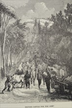Sketch titled Driving Cattle for the Army