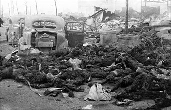 Photograph of the Remains of Japanese Civilians