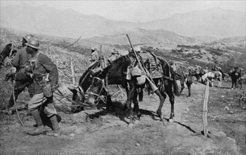 French African colonial soldiers in Bulgaria during WWI