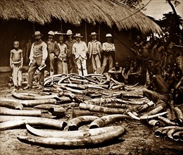 Belgian colonial ivory hunting  Congo