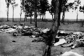 Armenians killed by Turks during the Armenian Genocide