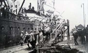 French Arab Zouaves arrive at a port in France;   during WWI 1915