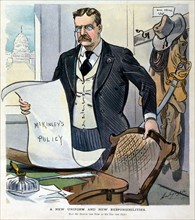 Theodore Roosevelt taking over the duties of president