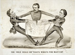 Pro-Democrat cartoon from 1860s