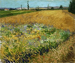 Painting titled "Wheat Field"