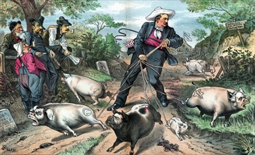 President Cleveland as a pig farmer