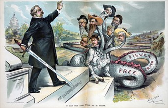 President Cleveland on the steps to the 'US Treasury'
