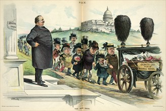 President Cleveland on the steps of the 'White House'